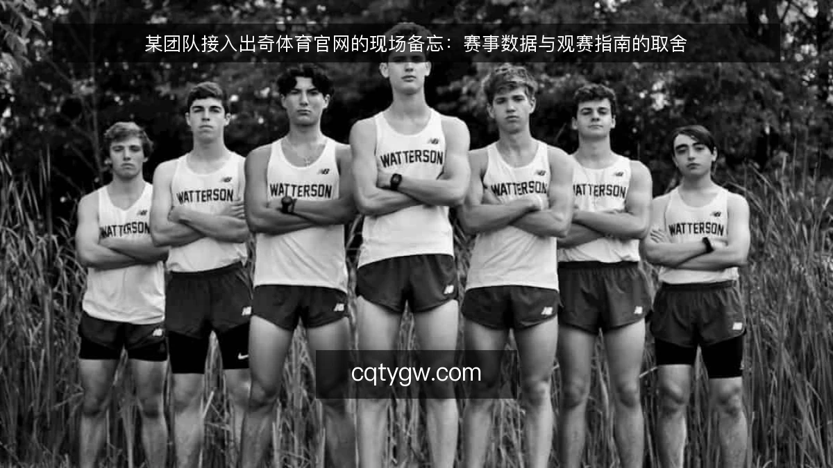 某团队接入出奇体育官网的现场备忘：赛事数据与观赛指南的取舍