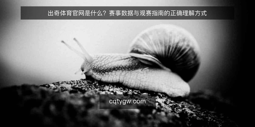 出奇体育官网是什么？赛事数据与观赛指南的正确理解方式 — 理解出奇体育官网的基本定义 配图