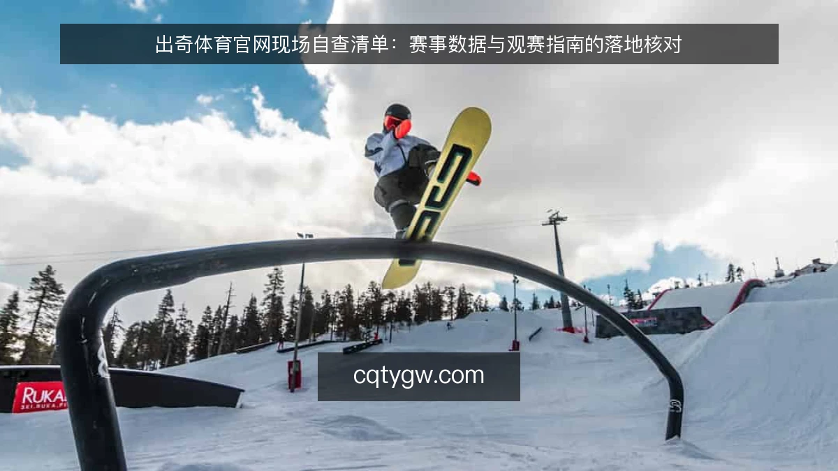 出奇体育官网现场自查清单：赛事数据与观赛指南的落地核对